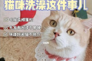 猫咪可以用人的沐浴露洗澡吗？（解答宠物家长的困惑，了解猫咪洗澡的正确方法）