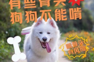 狗狗脚骨头自己移位的原因与处理方法（解析狗狗脚骨头移位的常见症状与治疗方式）