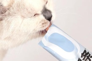 探寻猫咪喜爱的零食口味（揭秘猫咪零食选择的关键诀窍）