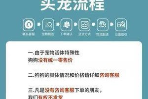 断尾狗的饲养方法（做好这15点，让你的爱犬健康快乐）