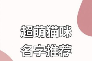猫咪的美妙名字（探索猫咪名字的创意与美感）