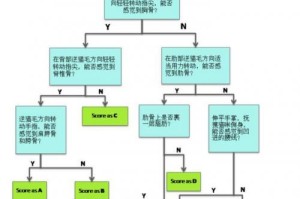 霸王短鲷的饲养技巧（打造清澈明亮的水族箱短鲷健康成长）