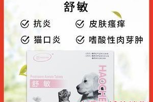 治疗狗狗过敏的有效药物选择（解决狗狗过敏问题的神奇药品及正确使用方法）