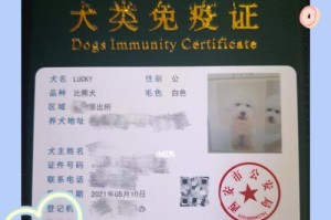 从狗狗出生到拿到出生纸（了解狗狗出生纸的办理流程及时间，从爱宠到宠父的过程不再迷茫）