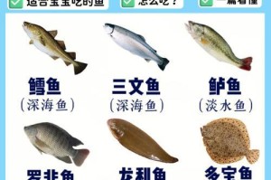 养小鱼的喂食频率和水质管理（养小鱼的最佳喂食时间和保持水质清洁的关键）