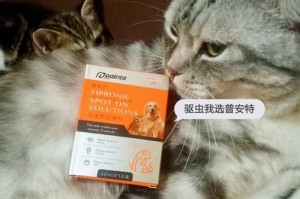 如何为宠物猫咪正确驱虫（掌握这些要点，让猫咪远离寄生虫）