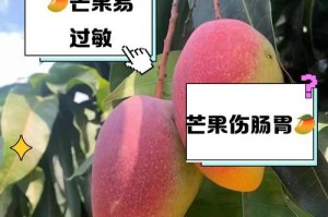 狗狗的饮食丰富多样，芒果是个不错的选择（如何正确给狗狗食用芒果，让它享受到健康益处）