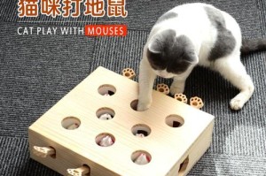 宝贝猫咪的最爱（为你的小猫选择最合适的玩具，让它快乐成长）