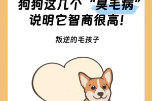 无气味的狗（探索拥有清新气息的理想犬种）