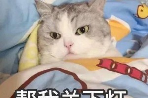 以猫天天叫，该怎么办？（探究猫咪叫声背后的原因与解决方法）