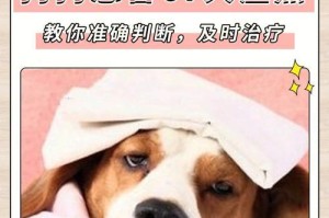 圣伯纳犬螨虫防治指南（如何保护宠物不受螨虫侵袭）