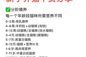 科学喂养猫咪（猫咪饮食量的适当标准和科学喂养方法）
