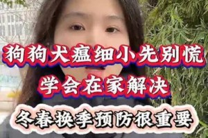 如何有效解决宠物细小和犬瘟问题（宠物健康保护，关键在于细心呵护）