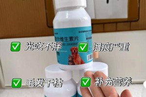 狗狗健康食谱（为您的爱犬选择适合的维生素补充剂）