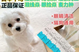 狗结膜炎的治疗及时长分析（详解狗结膜炎的治愈过程和时长）