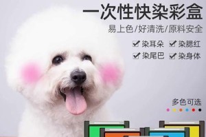 狗狗染色后多久可以洗澡？（保护宠物毛发色彩的最佳时间点）