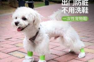 鞋上有狗（解码来自未来的流行趋势）