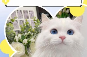 猫的繁殖周期及产仔时间（探究猫咪的生育规律及繁衍习性）