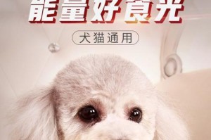 如何选择适合泰迪的钙片（钙片类型及选择指南）