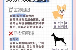 贵宾犬是否需要断尾？（探讨贵宾犬断尾的好处及争议）