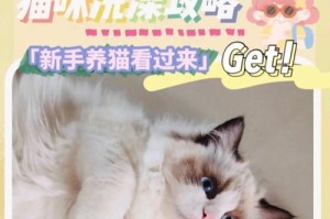 宠物猫猫洗澡指南