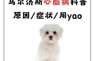 如何养护以马尔济斯犬（以马尔济斯犬的饲养细节）