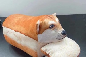 狗狗扮鬼脸，爱装成东西！（揭秘狗狗扮鬼脸的可爱一面）