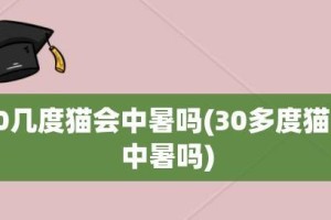 夏日里的猫咪（了解猫咪中暑的原因与预防措施，让你的爱宠度过一个健康的夏天。）