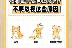狗狗鼻子干并不总是生病的表现（了解这4种情况，准确判断狗狗鼻子干是否正常）