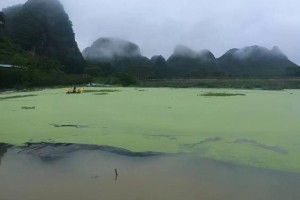 鱼缸禁养政策的含义及影响（保护生态平衡、维护水质健康，共同呵护水域生态）
