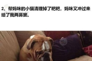 狗犬生产中常见的症状及应对方法（了解狗犬生产中可能出现的症状，帮助主人更好地应对问题）