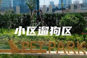 养狗的省钱心得——不该浪费钱的地方（为了宠物健康，不要在这些方面浪费金钱）