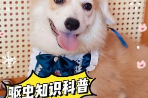 为你的爱犬进行驱虫，让它健康成长（从现象到原因，教你如何科学驱虫）