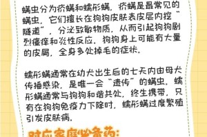 保护你的狗狗，远离这5种家中药物！（了解这些药物的危害，让你的宠物健康快乐）