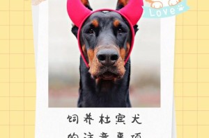 如何科学喂养4个月的杜宾犬小狗（合理饮食营养，让小狗健康成长）