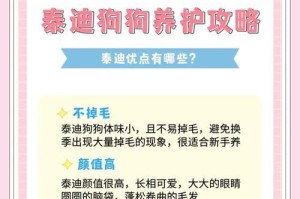 泰迪犬疫苗接种时间一览（保护宠物健康的必要措施）