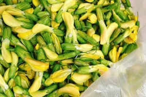 以黄雀春天喂什么大叫（了解黄雀的饮食习惯与喂养方法）