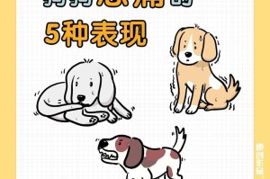 解决狗狗便秘的方法（为新手主人分享的几个有效方法）