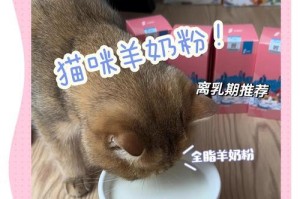 小猫断奶时间及关键因素探析（从生下来到断奶，）