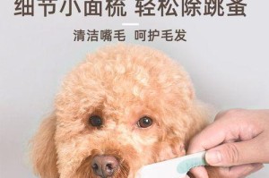 如何给狗狗梳理毛发？（宠物爱护从梳理开始）