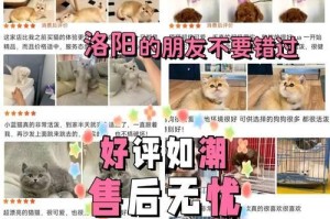 如何挑选品质优良的狗狗（掌握老祖宗选狗方法，提升挑选狗狗的技巧）