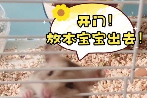 仓鼠为何喜欢啃笼子？（探究仓鼠啃笼子的原因及解决方法）