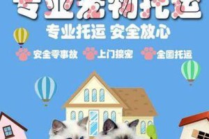 托运猫狗的必备条件（确保宠物安全与舒适的关键要素）