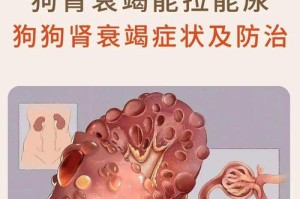狗的瘫痪生存期（狗的瘫痪生存期与其健康状况息息相关）