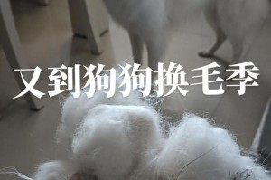 幼犬换毛周期的探讨（幼犬毛发换新的时机和注意事项）