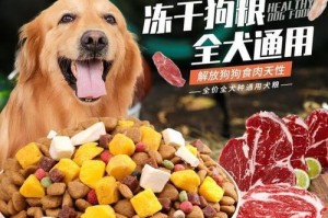 狗狗喜欢吃什么肉？（揭开狗狗的美食秘密）