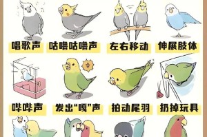 鹦鹉为何能学主人说话？（探究鹦鹉学说话的原因及机制）