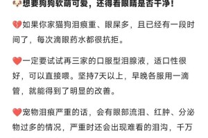 解决狗狗眼屎问题的药物治疗与清洁方法（科学用药，干净护眼，让宠物舒适健康）