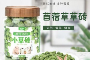 龙猫的主食选择（探究龙猫对苜蓿草的喜好与营养需求）