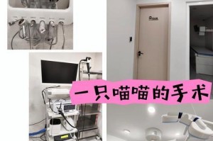 动物医院常用器材大揭秘（了解动物医院必备器材，为宠物健康保驾护航）